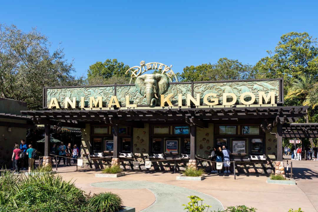 Bay Lake, Florida, USA- February 9, 2022: The entrance to Animal Kingdom in Orlando, Florida, USA. Animal Kingdom Theme Park is a zoological theme park at the Walt Disney World Resort.